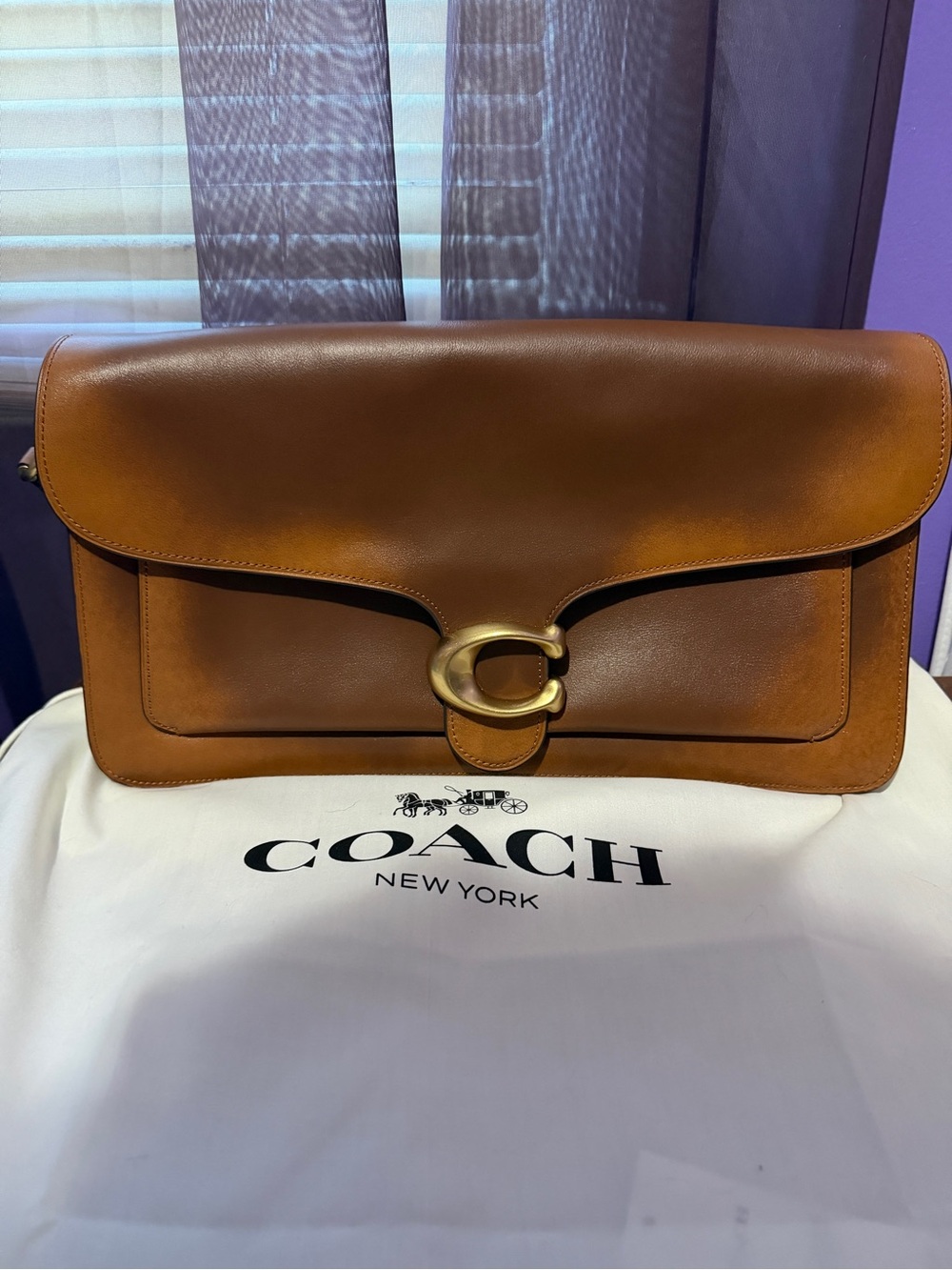 COACH Loved Leather Tabby Shoulder Bag 36